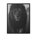 Framed Matte Canvas Lion Wall Art – Black & White Majestic Lion Print