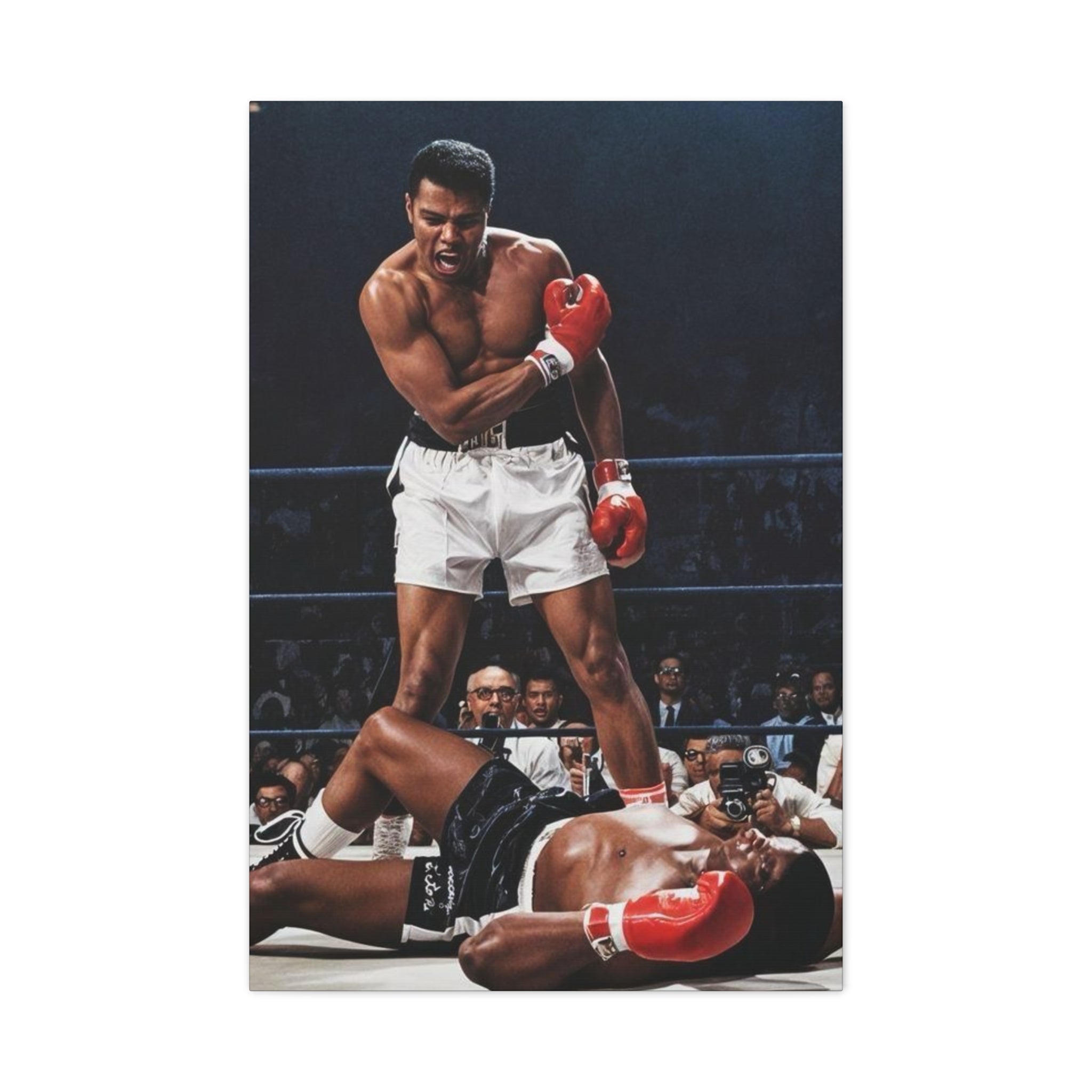 Iconic Knockout Boxing Matte Canvas Wall Art — Greatest Boxer