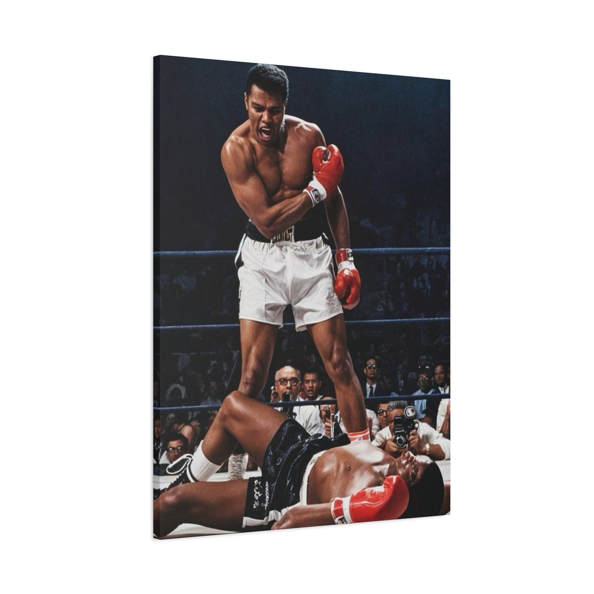 Iconic Knockout Boxing Matte Canvas Wall Art — Greatest Boxer