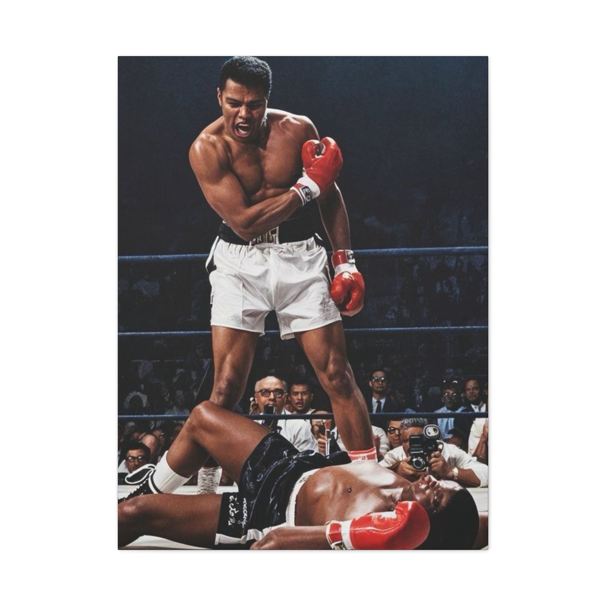 Iconic Knockout Boxing Matte Canvas Wall Art — Greatest Boxer