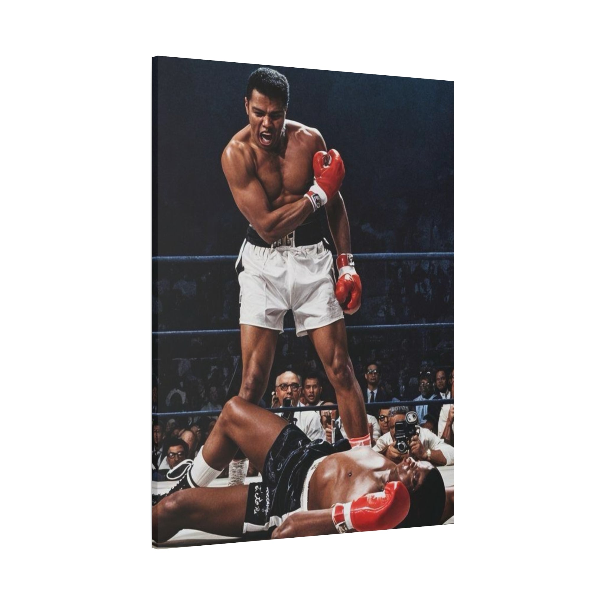 Iconic Knockout Boxing Matte Canvas Wall Art — Greatest Boxer
