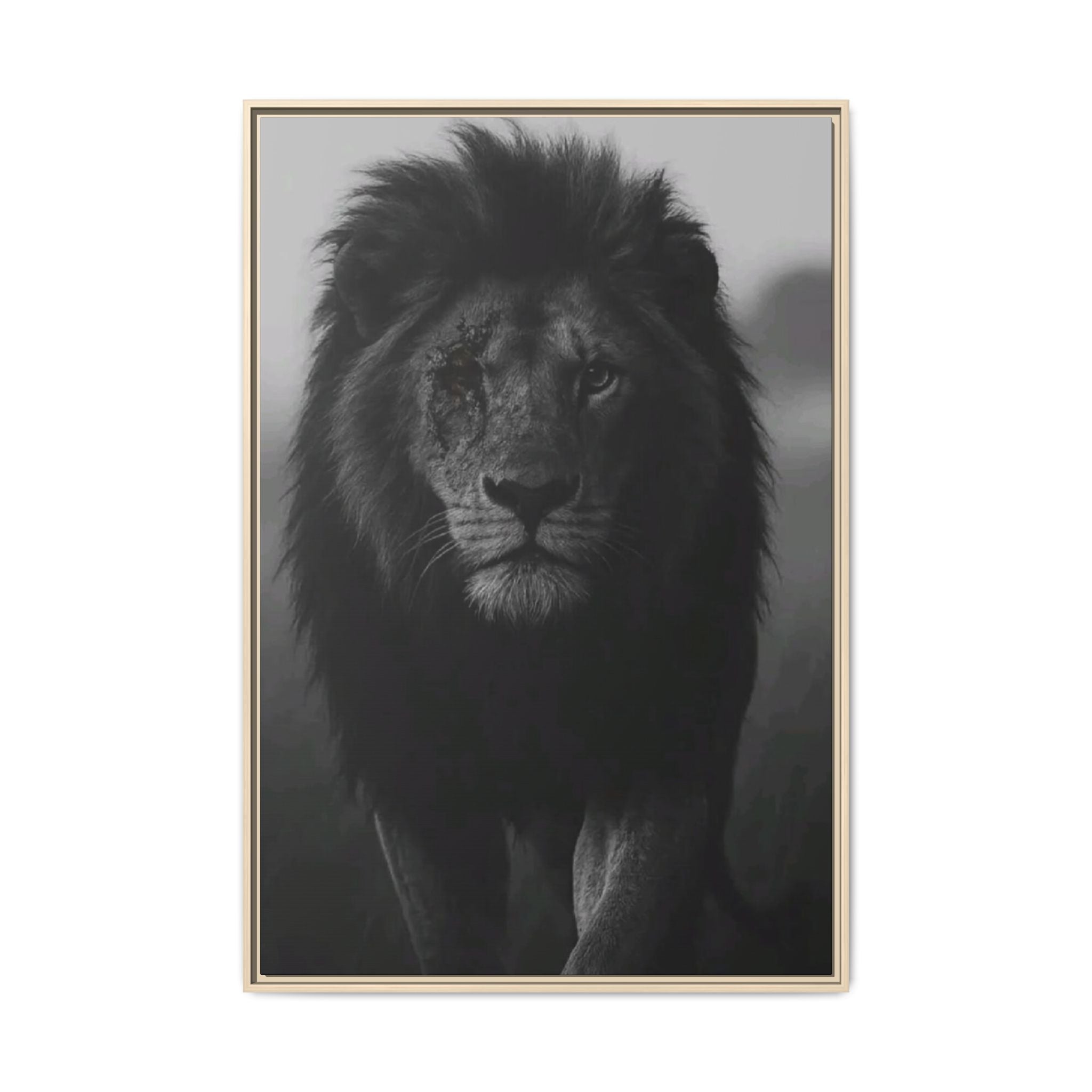 Framed Matte Canvas Lion Wall Art – Black & White Majestic Lion Print